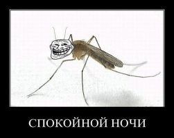 Зачем в природе нужны комары?