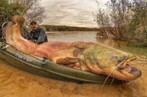 Вот эта рыба напомнила мне рыбу из ЛвЧ 3...
