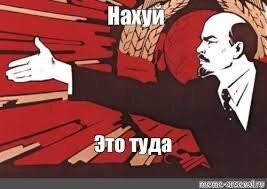Люди спасли утку, которая три месяца прожила со стрелой в голове
