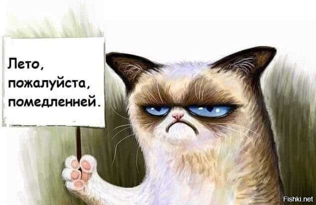 Всем доброе утро