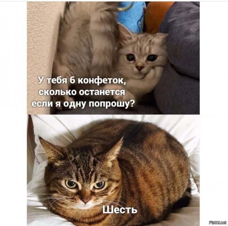 Солянка от 16.07.2020