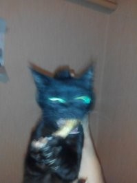 Мой бандит с трофеем