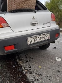 Водитель митсу: