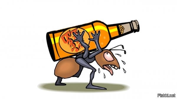 Солянка от 16.07.2020