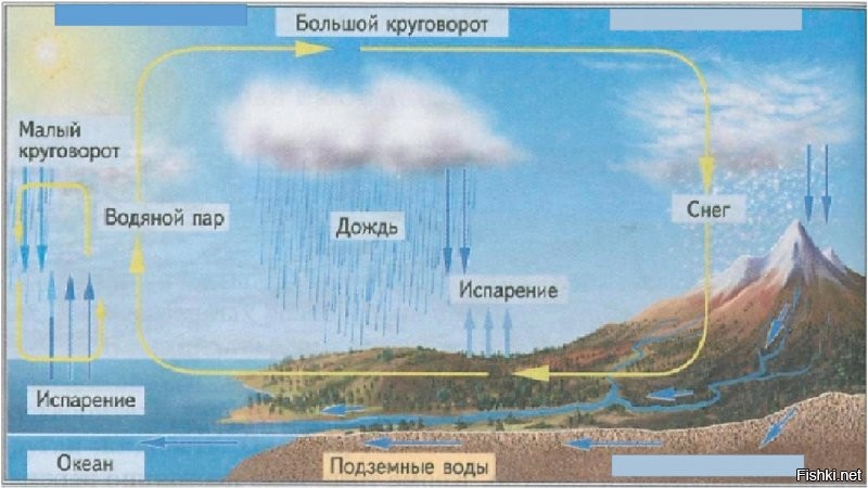 Обожаю актуальность Ньютоновского творчества.