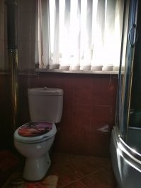 Всегда мечтал о таком туалете. Но пока только такой получился.