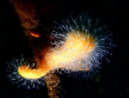 Немного из моей Норвежской серии: