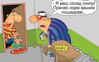 В нашем доме поселился замечательный сосед. Как выживают люди в "человейниках"