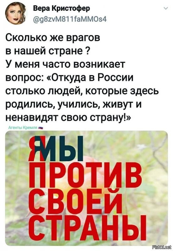 А не надо путать страну  и кучку сказочных <span style='color:gray'>[мат]</span>, сосущих из бюджета