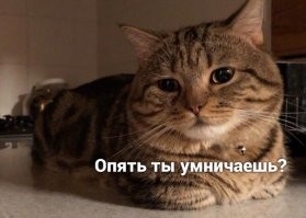 Прикольные и смешные картинки