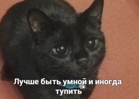 Прикольные и смешные картинки