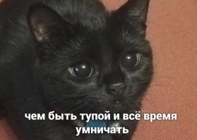 Прикольные и смешные картинки