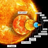 21 ироничная иллюстрация с щепоткой безумия