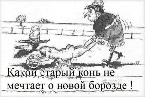 Смешные картинки