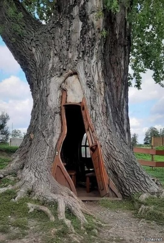 Солянка от 16.07.2020