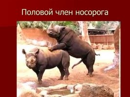 Какую поддержку получают в Южной Корее во время самоизоляции