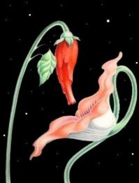 Комментарии в разных группах к постам