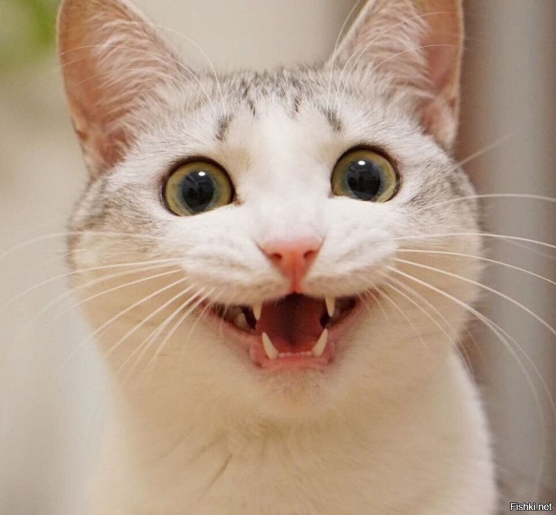 Солянка от 17.07.2020