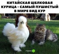 Понятно. А слева кто?