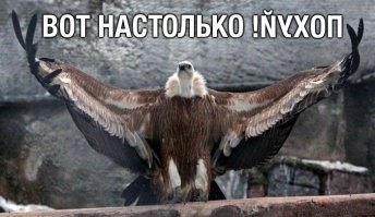 Звёзды, которых вы просто не сможете узнать без&nbsp;макияжа