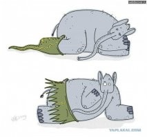 Видите ли вы крупную змею, спрятавшуюся в этих покрышках?