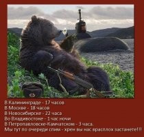 Как медведь по ошибке стал символом России
