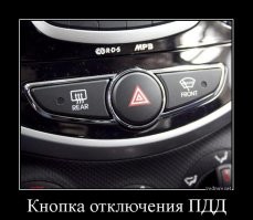 Авария дня. «Против шерсти» по одностороннему