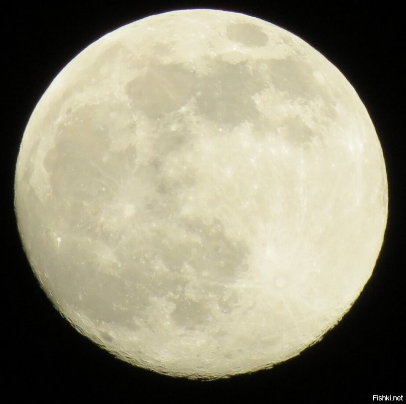 Прошлый год.