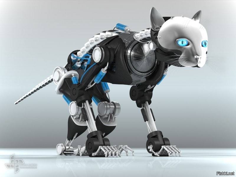 Солянка от 17.07.2020