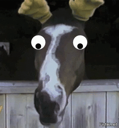 Солянка от 17.07.2020