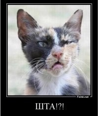 "Каким двигателем оснащена «Стрела»   не уточняется. Вероятно, под капотом у нее стоит тот же 4,4-литровый 215-сильный турбодизель ЯМЗ-534, который используется на «Тигре», благо Ярославским моторным заводом также владеет Олег Дерипаска."