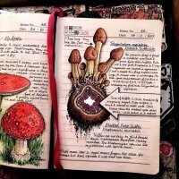 Жаль, что такие талантливые люди одиноки по жизни...
