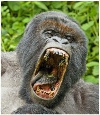 Заядлый курильщик и его лошадь