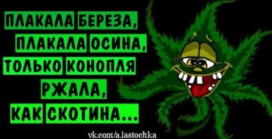 Переходившие дорогу гуси довели женщину до истерики