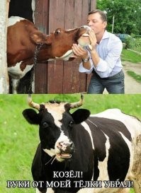 Это Ляшко, он больше по быкам...