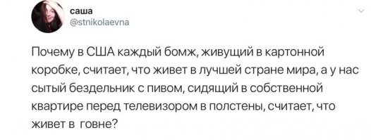 Как медведь по ошибке стал символом России