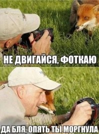 22 очень неожиданные встречи с животными