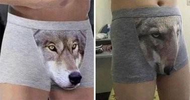 15 нелепых покупок, которые оказались "грандиозным сюрпризом" для заказчика