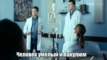 Сколько костей в человеке?