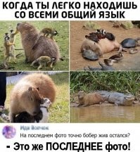 Но это не точно ;-)