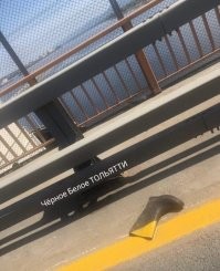 Петросян посеял своё семя в Тольятти.