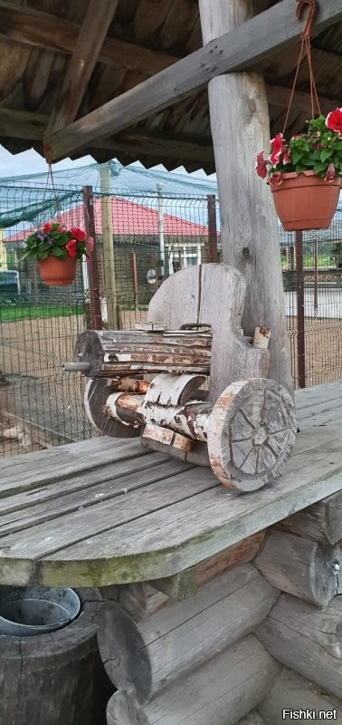 они сами напали...