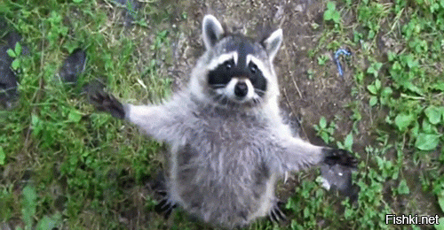 Солянка от 18.07.2020