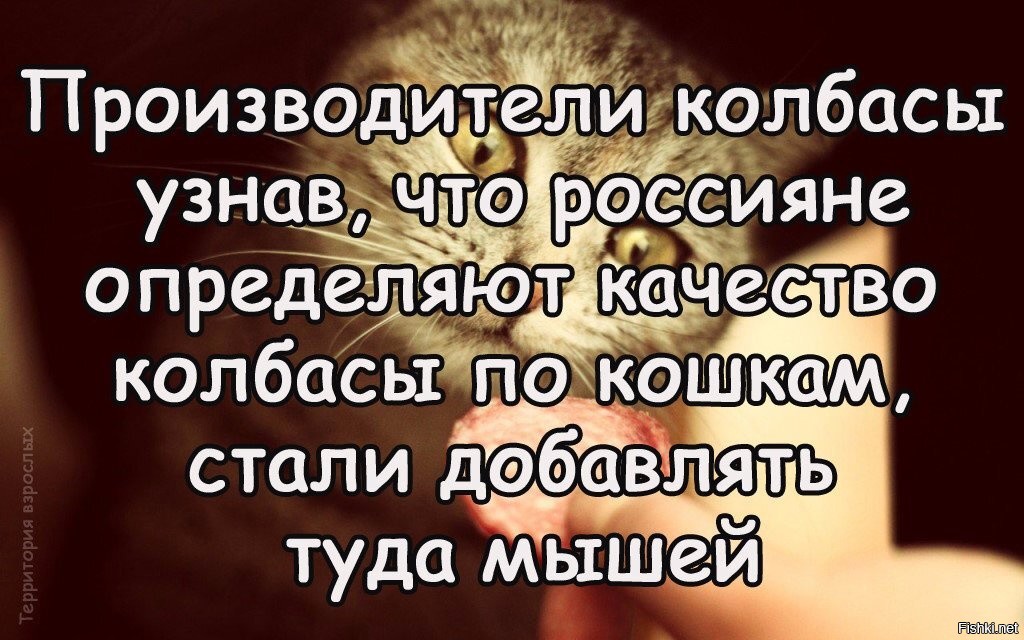 Станьте добавить. Производители колбасы узнав что россияне. Стали добавлять в колбасу мышей анекдот. Производители колбасы узнав. Стали добавлять мышей. Производители колбасы узнав что россияне определяют.