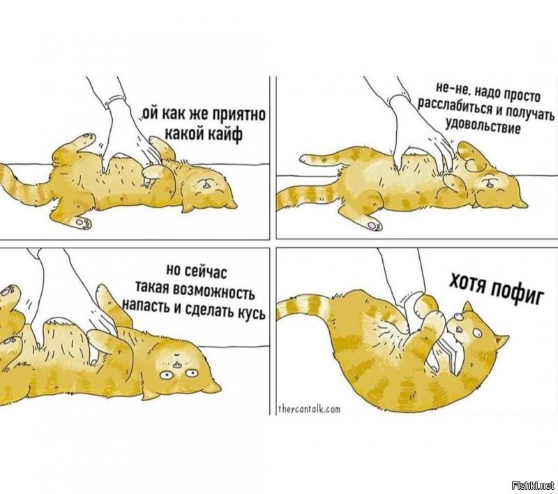 Солянка от 18.07.2020