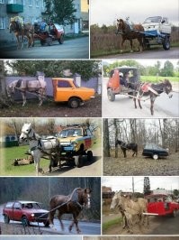 Одна лошадиная сила: белорусский пастух соорудил оригинальную повозку