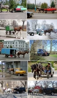 Одна лошадиная сила: белорусский пастух соорудил оригинальную повозку