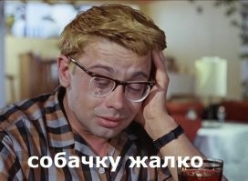 Хозяин в доме