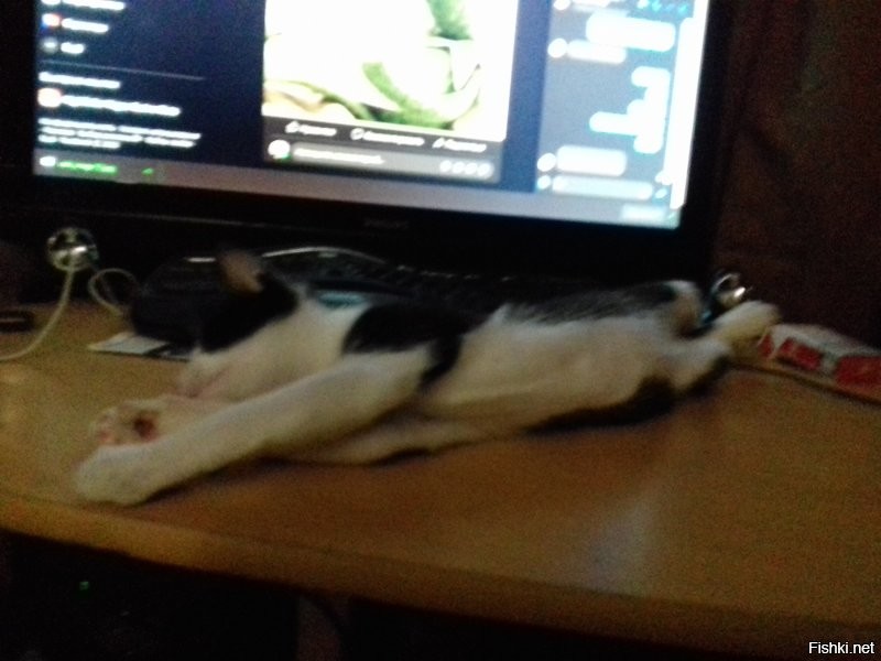 Солянка от 18.07.2020