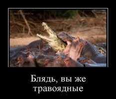 Бери ношу по себе, чтоб не падать при ходьбе